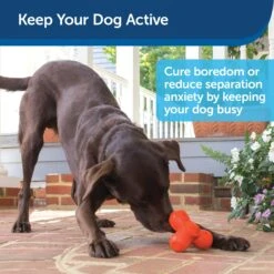 Busy Buddy® Squeak ‘n Treat Troog -Pawsy Store o6ef8tbbk2qwzaxmskv3 6282a6a0 d3e8 4c81 b548 bded12919234