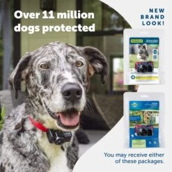 Wireless Pet Containment System Receiver Collar 13 Wireless Pet Containment System Receiver Collar -Pawsy Store oacrpqy23kuvznxah9ni