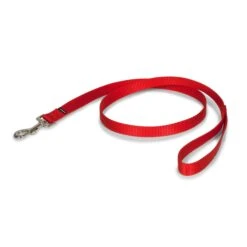 Nylon Leash 29 Nylon Leash -Pawsy Store oe0qaibwb2tzithnzhgv 28465e32 417b 41bc 9622 368a962327cb