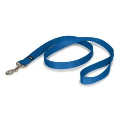 Nylon Leash 24 Nylon Leash -Pawsy Store oit1c0ynpqla6s5lhnpg de9d2c10 9fbc 460e bcfd e97119539922