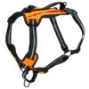 Walk-Along™ Outdoor Harness -Pawsy Store ols1vec0fexed86tkhjh c7563228 f4d7 4200 97bd 5ab7b113f68b