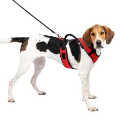 EasySport Harness -Pawsy Store pcfmxskizfvfvmqcb4vb 0e785e0a 814e 4718 b006 e4bd565daab7