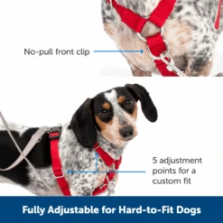 Sure-Fit Harness® - Large -Pawsy Store ps amz atf surefit14