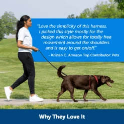 Sure-Fit Harness® - Large -Pawsy Store ps amz atf surefit15