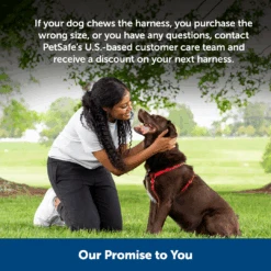 Sure-Fit Harness® - Large -Pawsy Store ps amz atf surefit16