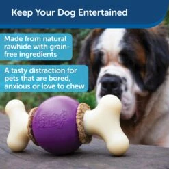 Busy Buddy® Bouncy Bone™ -Pawsy Store pt2aaznvzopopnac4fw2 6e73626a f759 4052 9484 261f14962ea8
