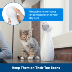 Bolt Automatic Laser Light Cat Toy -Pawsy Store pty00 14244 1080x1080 5