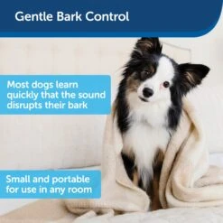 Indoor Bark Control, 1-Pack 10 Indoor Bark Control, 1-Pack -Pawsy Store q2icma5ctlgiorpursmg 388ea497 3cf0 42a2 8be8 461130bdd25c