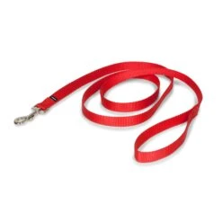 Nylon Leash 34 Nylon Leash -Pawsy Store qa4iot9rzh7yycmkofns 84b62605 b97b 4d85 9fee bfebbcc57d5c