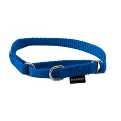 Martingale Collar -Pawsy Store qilxyotiokvyy2tlv1oa 508e86ea 9873 40b9 bf53 db7ce0099c89