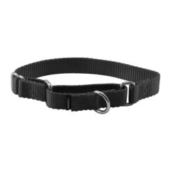 Martingale Collar -Pawsy Store qmccc9wkvbu6dcnw1qg5 db5363f3 e59c 462d b48c f235c228454e