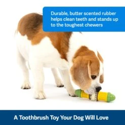 Busy Buddy® Cravin’ Corncob -Pawsy Store qofd3sdvprn5itopfaz9 4e56579b 8685 495e a7db b86a975d15c7