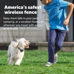 Stay & Play® Wireless Fence With Replaceable Battery Collar -Pawsy Store qzaq6hrfwt41duwg6nis