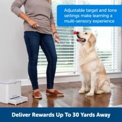 Teach & Treat Remote Reward Trainer -Pawsy Store rdurqm0xdhp9pkfsazen 86f538b6 1803 4510 bd73 6bbaa812c80a