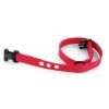 Replacement Collar Strap For Basic Bark Collar -Pawsy Store rfa 264 c square 9597e549 8d87 4c8c 91c7 8e94091b381e