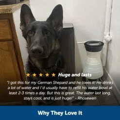 Healthy Pet Water Station™ -Pawsy Store rilb2h5mutprkauqoiz6 e1ee793d b303 4c06 9081 18dbbe360b18