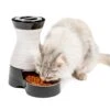 Healthy Pet Food Station™ -Pawsy Store rnltmzzsjpzssavazgg9 ebb7dde8 0145 4d24 ab58 f9547e52bc2a