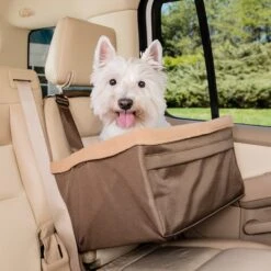 Happy Ride® Booster Seat -Pawsy Store rs5iegncvputwzcvm5s9 36071029 79f6 49f5 9a1d dd9ba4dc5dab