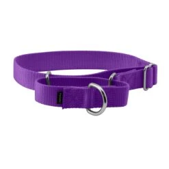 Martingale Collar -Pawsy Store ryp8gukqebo04ruqhb7p 520a9dda 69b4 45e9 b9ef f30405ca1906