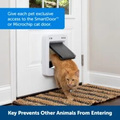 SmartDoor™ Connected Pet Door Key -Pawsy Store s1mweasnrpqcbx1zfufw 4b8b2718 191c 4c36 8aa2 46205875b6d3