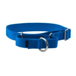 Martingale Collar -Pawsy Store t95bemdlmlizblvuzjai 620bcdb0 35a1 4076 9b5b 23124250e324