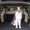 Happy Ride® Dog Barrier -Pawsy Store twsuv5wwyn2obdrhaicq 8fbec5af 37c1 4f9d b1ab 2cc951c1794b