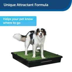 Skip To My Loo House Training Scent -Pawsy Store u3sscva9ohp2oummbjpo 035fdc93 f0b8 42cb a7ca 0bc95239eb70