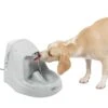 Drinkwell® Platinum® Pet Fountain