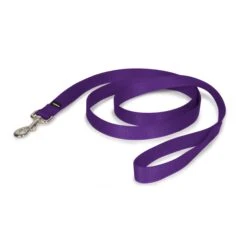 Nylon Leash 26 Nylon Leash -Pawsy Store uleuvwa4v8mvdmj0rpp2 7d8be747 09f8 4cda bc34 a61dcec0f660