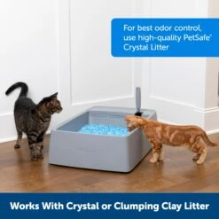 Multi-Cat Litter Box -Pawsy Store uopgir6nrigfphngbpye ae280972 a093 4ef1 b3fa 71fd06d98a79