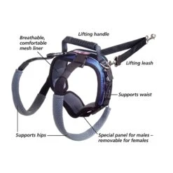 CareLift™ Rear Support Harness -Pawsy Store uovlpmsr9vqycqcodnj5 8d166fc1 dbff 4427 8fd3 117417f11f8b