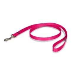 Nylon Leash 31 Nylon Leash -Pawsy Store uybsohwuw9h17erm0das 3bd3bae1 c392 4395 8b76 3e3945578786