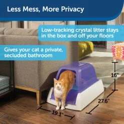 ScoopFree® Privacy Hood Purple -Pawsy Store v1y4dsci0pmne6gwqxkf c30a8f3f 4ce1 4079 a9dc 64409e6601c5