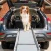 Happy Ride® Telescoping Dog Ramp