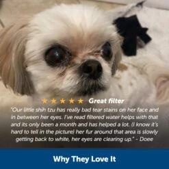 Healthy Pet Water Filter, 2-Pack -Pawsy Store vrfiay8fn4x1bojm0exr 0689da9f 0533 4f16 8d4d d1338b4dce53