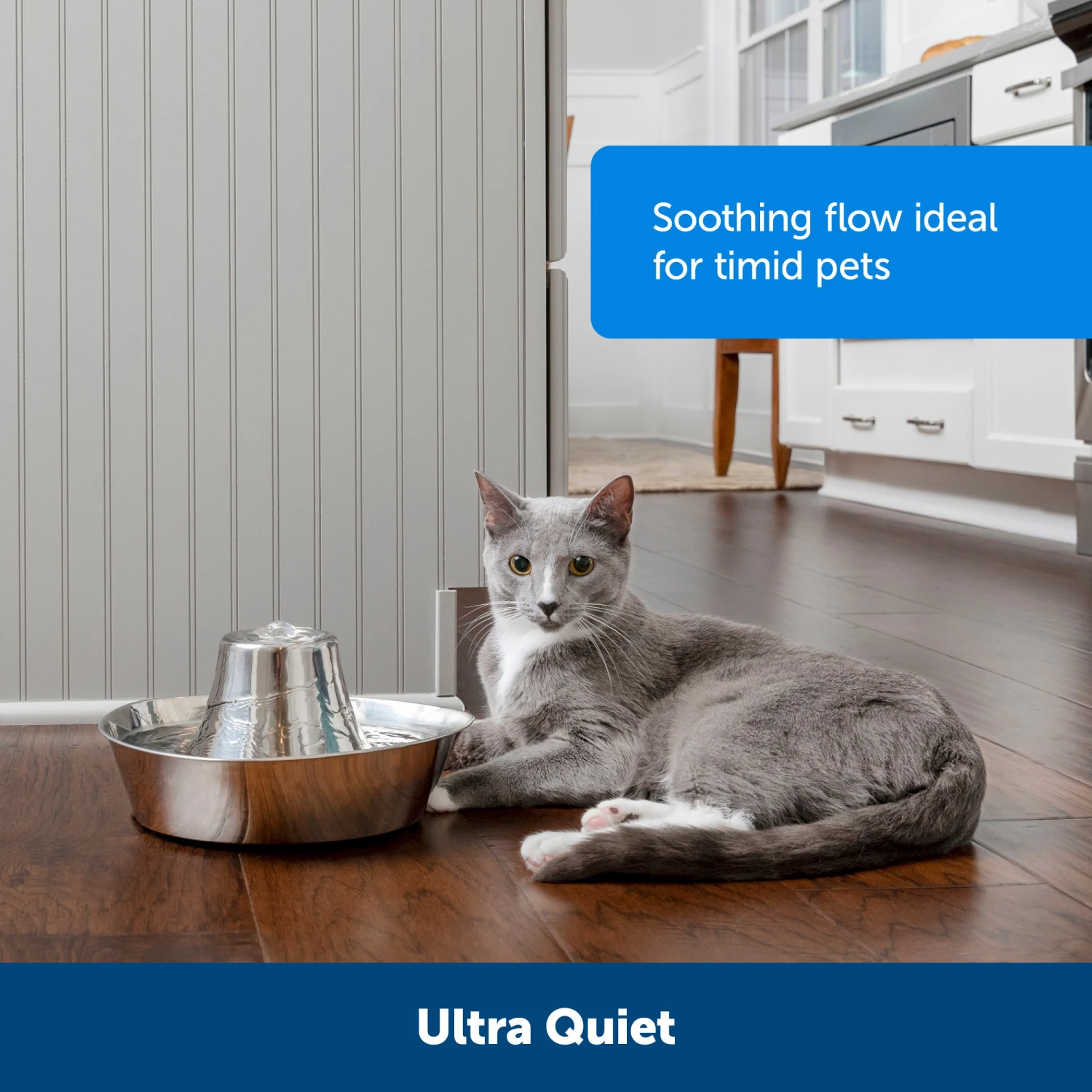 Seaside Stainless Pet Fountain 6 Seaside Stainless Pet Fountain - Image 4