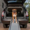 Happy Ride® Compact Telescoping Dog Ramp -Pawsy Store vvb4ouvbrynourrouryl 1704379d 8533 4b76 948d 129329188419