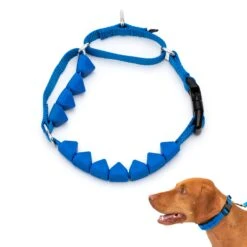 Soft Point Training Collar -Pawsy Store vwtkjx7lzleebny5s5pc d942476c 3b59 4e32 9573 34e3a3de7eb0