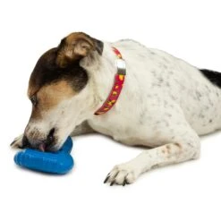 Freezable Treat Holding Chilly Penguin -Pawsy Store vyqg4snjl3kvjdmhvhhb 2f398c39 780e 4210 86a5 9550708eebf9