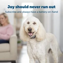 3-Volt Battery 11 3-Volt Battery -Pawsy Store w5fuktyeoia0iwkjnv5n