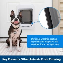 SmartDoor™ Connected Pet Door Power Adaptor -Pawsy Store wmv0ownsz0chi1v6kiji cc201239 5620 459a 93e9 3f7e142fa758