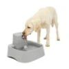 Drinkwell® 2 Gallon Pet Fountain -Pawsy Store wvclca8jd71gfw2p6hii