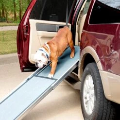 Happy Ride® Dog Ramp Adaptor -Pawsy Store ww1altc6sax4czkjrdpj 1312050f 2018 4363 8217 75cdff3665ff