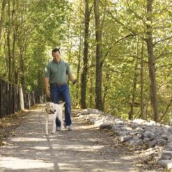 Remote Trainer Transmitter Hand Strap -Pawsy Store wzyarlitxvovigfouk66 3b723896 e245 4478 822e bb9be7b47ae6