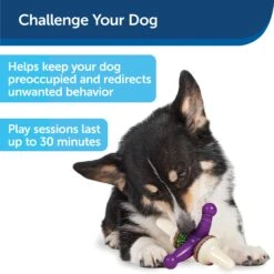 Busy Buddy® Jack -Pawsy Store x7pj30mhggd89fhzw9pi e10e7aa7 9dc2 43f8 acdd 7dc99095b23c