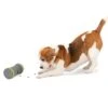 Kibble Chase™ Roaming Treat Dropper 2 Kibble Chase™ Roaming Treat Dropper -Pawsy Store xdciojrxkbvmupjhrj9b 44f028f7 3203 40a9 abda 23b55c927dec