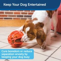 Sportsmen Kibble Nibble™ -Pawsy Store xdngw2cnryloc1eyuxar 09126fbf 1494 4f20 ad32 dbff282f7e17