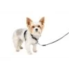 3 In 1 Harness -Pawsy Store xl1zyty8lyna2fekzcir a923ddc8 965f 487e bb82 ad9cbb0b1f58