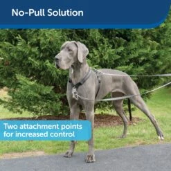 3 In 1 Harness With Two Point Control Leash -Pawsy Store xrk9mjgrql2g1opm8wtg 5e4abdeb d789 48b6 98ed e5bf1dab2e27