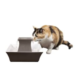 Drinkwell® Pagoda Fountain -Pawsy Store xv9jjxiyvliwul0csluc b851332a 138b 4878 b45b a6ef03ce7a12